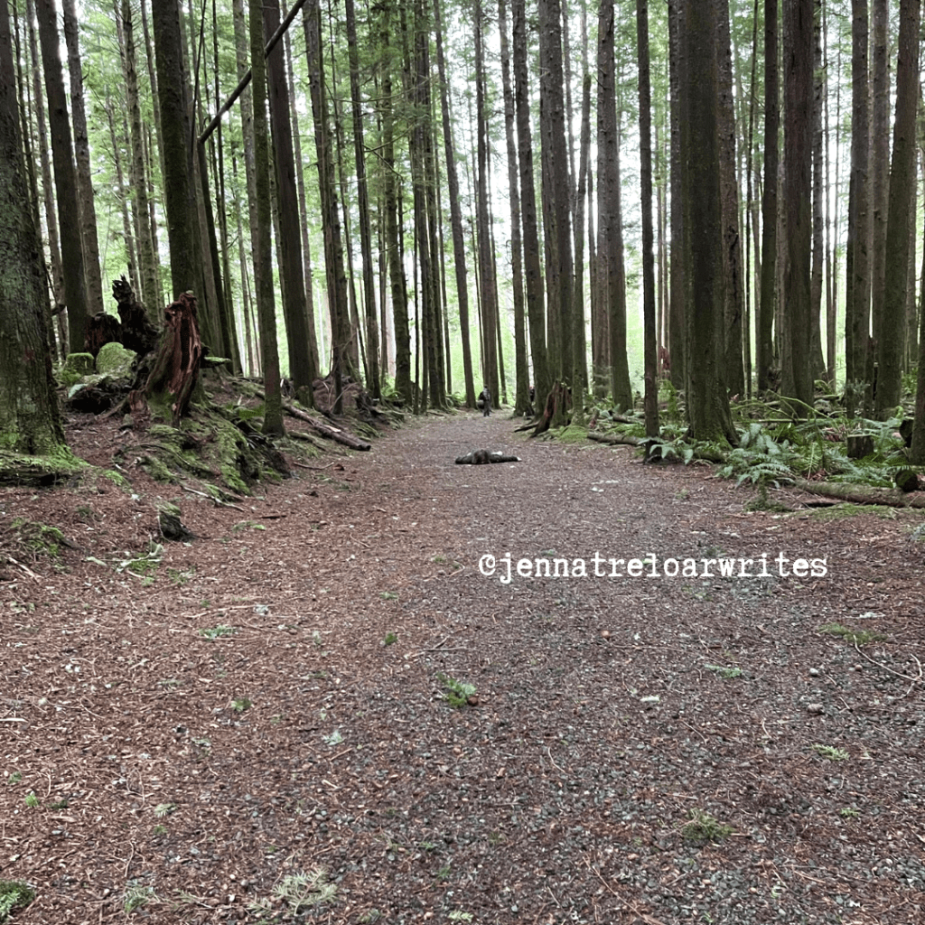 Building Community in Writing: A 2025&nbsp;Perspective